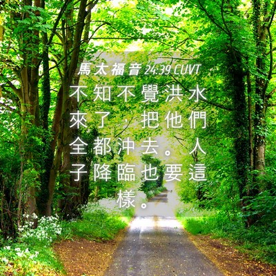 Picture 04 - 馬 太 福 音 24:39 CUVT - 不 知 不 覺 洪 水 來 了 ， 把 他 們 - Bible Verse Picture