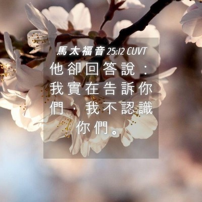 Picture 04 - 馬 太 福 音 25:12 CUVT - 他 卻 回 答 說 ： 我 實 在 告 訴 你 - Bible Verse Picture