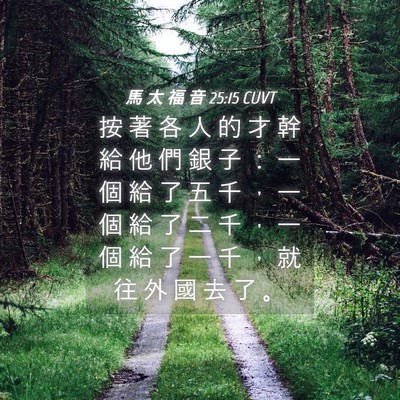 Picture 04 - 馬 太 福 音 25:15 CUVT - 按 著 各 人 的 才 幹 給 他 們 銀 子 - Bible Verse Picture