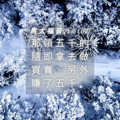 Picture 04 - 馬 太 福 音 25:16 CUVT - 那 領 五 千 的 隨 即 拿 去 做 買 賣 - Bible Verse Picture