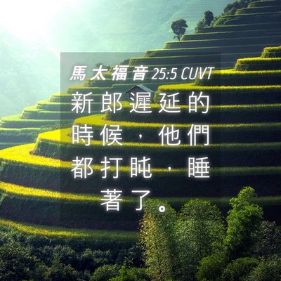 Picture 04 - 馬 太 福 音 25:5 CUVT - 新 郎 遲 延 的 時 候 ， 他 們 都 打 - Bible Verse Picture