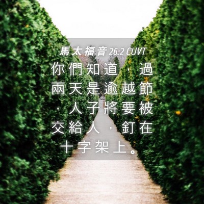 Picture 04 - 馬 太 福 音 26:2 CUVT - 你 們 知 道 ， 過 兩 天 是 逾 越 節 - Bible Verse Picture
