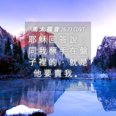 Picture 04 - 馬 太 福 音 26:23 CUVT - 耶 穌 回 答 說 ： 同 我 蘸 手 在 盤 - Bible Verse Picture