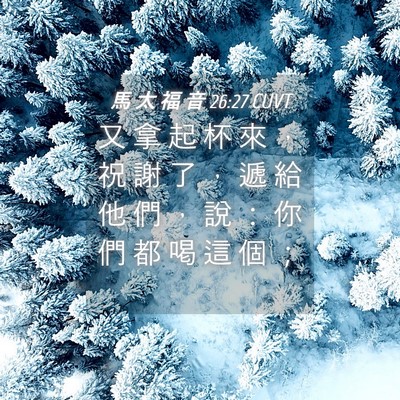 Picture 04 - 馬 太 福 音 26:27 CUVT - 又 拿 起 杯 來 ， 祝 謝 了 ， 遞 給 - Bible Verse Picture