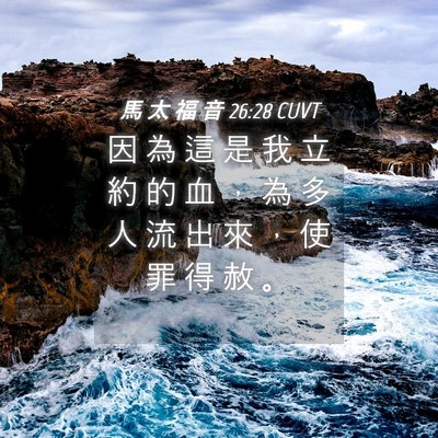 Picture 04 - 馬 太 福 音 26:28 CUVT - 因 為 這 是 我 立 約 的 血 ， 為 多 - Bible Verse Picture