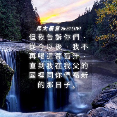 Picture 04 - 馬 太 福 音 26:29 CUVT - 但 我 告 訴 你 們 ， 從 今 以 後 ， - Bible Verse Picture