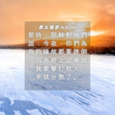 Picture 04 - 馬 太 福 音 26:31 CUVT - 那 時 ， 耶 穌 對 他 們 說 ： 今 夜 - Bible Verse Picture
