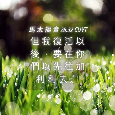 Picture 04 - 馬 太 福 音 26:32 CUVT - 但 我 復 活 以 後 ， 要 在 你 們 以 - Bible Verse Picture