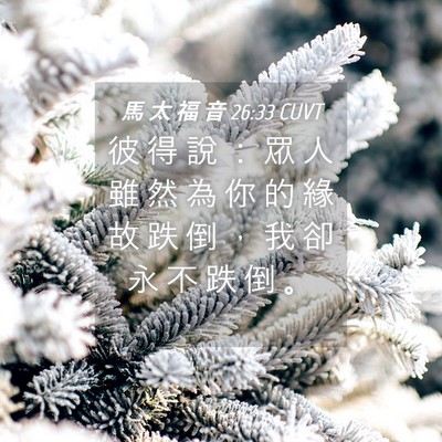 Picture 04 - 馬 太 福 音 26:33 CUVT - 彼 得 說 ： 眾 人 雖 然 為 你 的 緣 - Bible Verse Picture