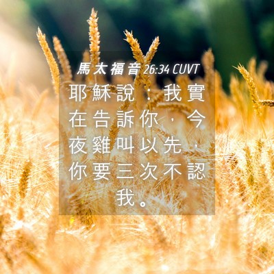Picture 04 - 馬 太 福 音 26:34 CUVT - 耶 穌 說 ： 我 實 在 告 訴 你 ， 今 - Bible Verse Picture