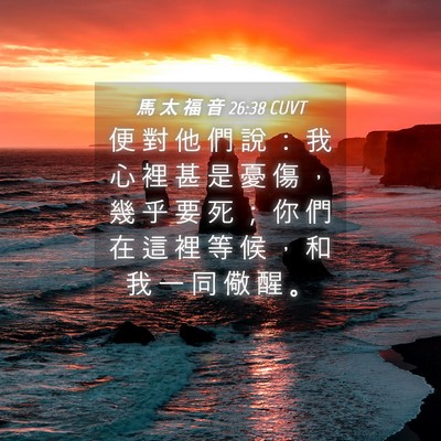 Picture 04 - 馬 太 福 音 26:38 CUVT - 便 對 他 們 說 ： 我 心 裡 甚 是 憂 - Bible Verse Picture