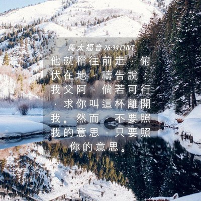 Picture 04 - 馬 太 福 音 26:39 CUVT - 他 就 稍 往 前 走 ， 俯 伏 在 地 ， - Bible Verse Picture