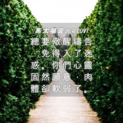 Picture 04 - 馬 太 福 音 26:41 CUVT - 總 要 儆 醒 禱 告 ， 免 得 入 了 迷 - Bible Verse Picture