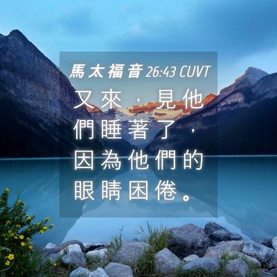Picture 04 - 馬 太 福 音 26:43 CUVT - 又 來 ， 見 他 們 睡 著 了 ， 因 為 - Bible Verse Picture