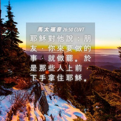 Picture 04 - 馬 太 福 音 26:50 CUVT - 耶 穌 對 他 說 ： 朋 友 ， 你 來 要 - Bible Verse Picture