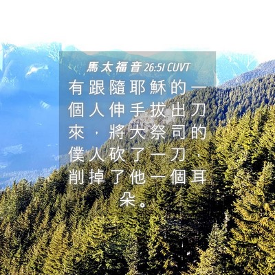 Picture 04 - 馬 太 福 音 26:51 CUVT - 有 跟 隨 耶 穌 的 一 個 人 伸 手 拔 - Bible Verse Picture