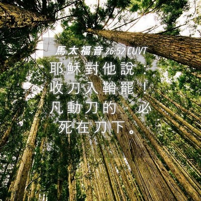 Picture 04 - 馬 太 福 音 26:52 CUVT - 耶 穌 對 他 說 ： 收 刀 入 鞘 罷 ！ - Bible Verse Picture
