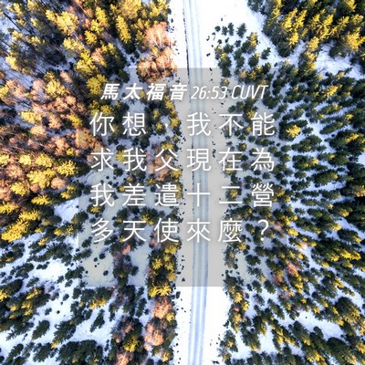 Picture 04 - 馬 太 福 音 26:53 CUVT - 你 想 ， 我 不 能 求 我 父 現 在 為 - Bible Verse Picture