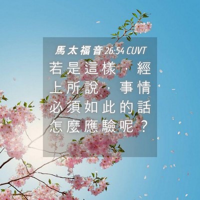 Picture 04 - 馬 太 福 音 26:54 CUVT - 若 是 這 樣 ， 經 上 所 說 ， 事 情 - Bible Verse Picture