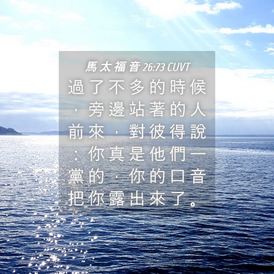 Picture 04 - 馬 太 福 音 26:73 CUVT - 過 了 不 多 的 時 候 ， 旁 邊 站 著 - Bible Verse Picture