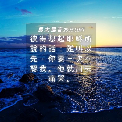 Picture 04 - 馬 太 福 音 26:75 CUVT - 彼 得 想 起 耶 穌 所 說 的 話 ： 雞 - Bible Verse Picture