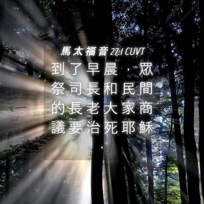 Picture 04 - 馬 太 福 音 27:1 CUVT - 到 了 早 晨 ， 眾 祭 司 長 和 民 間 - Bible Verse Picture