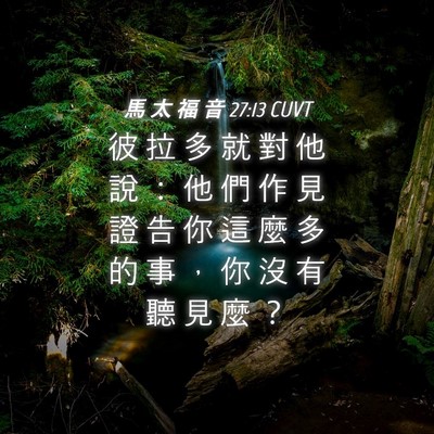 Picture 04 - 馬 太 福 音 27:13 CUVT - 彼 拉 多 就 對 他 說 ： 他 們 作 見 - Bible Verse Picture