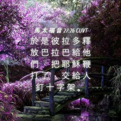 Picture 04 - 馬 太 福 音 27:26 CUVT - 於 是 彼 拉 多 釋 放 巴 拉 巴 給 他 - Bible Verse Picture