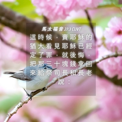 Picture 04 - 馬 太 福 音 27:3 CUVT - 這 時 候 ， 賣 耶 穌 的 猶 大 看 見 - Bible Verse Picture