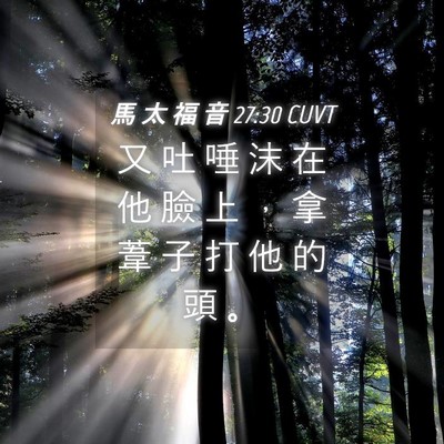 Picture 04 - 馬 太 福 音 27:30 CUVT - 又 吐 唾 沫 在 他 臉 上 ， 拿 葦 子 - Bible Verse Picture