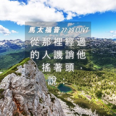 Picture 04 - 馬 太 福 音 27:39 CUVT - 從 那 裡 經 過 的 人 譏 誚 他 ， 搖 - Bible Verse Picture