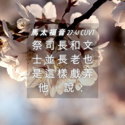 Picture 04 - 馬 太 福 音 27:41 CUVT - 祭 司 長 和 文 士 並 長 老 也 是 這 - Bible Verse Picture