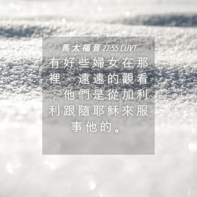 Picture 04 - 馬 太 福 音 27:55 CUVT - 有 好 些 婦 女 在 那 裡 ， 遠 遠 的 - Bible Verse Picture