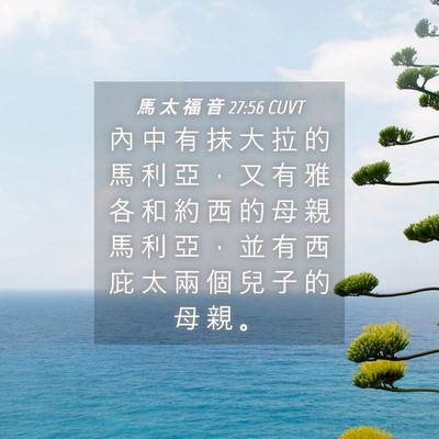 Picture 04 - 馬 太 福 音 27:56 CUVT - 內 中 有 抹 大 拉 的 馬 利 亞 ， 又 - Bible Verse Picture