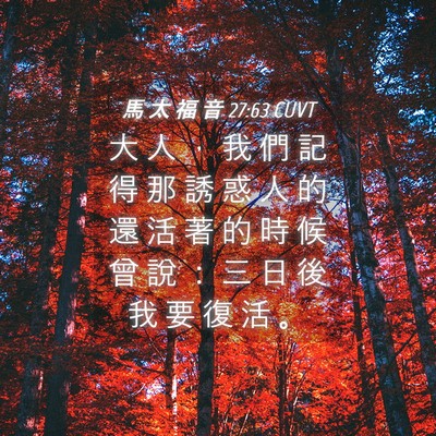 Picture 04 - 馬 太 福 音 27:63 CUVT - 大 人 ， 我 們 記 得 那 誘 惑 人 的 - Bible Verse Picture