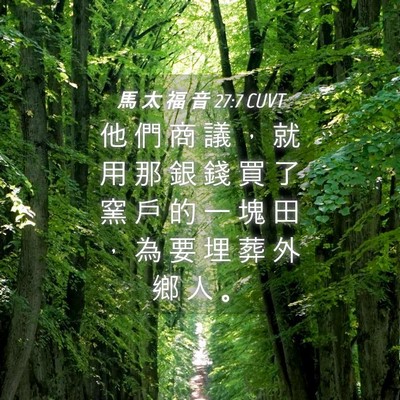 Picture 04 - 馬 太 福 音 27:7 CUVT - 他 們 商 議 ， 就 用 那 銀 錢 買 了 - Bible Verse Picture