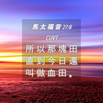 Picture 04 - 馬 太 福 音 27:8 CUVT - 所 以 那 塊 田 直 到 今 日 還 叫 做 - Bible Verse Picture