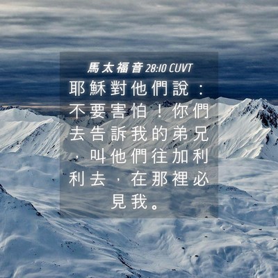 Picture 04 - 馬 太 福 音 28:10 CUVT - 耶 穌 對 他 們 說 ： 不 要 害 怕 ！ - Bible Verse Picture