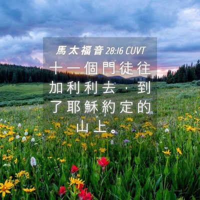 Picture 04 - 馬 太 福 音 28:16 CUVT - 十 一 個 門 徒 往 加 利 利 去 ， 到 - Bible Verse Picture