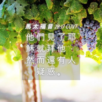 Picture 04 - 馬 太 福 音 28:17 CUVT - 他 們 見 了 耶 穌 就 拜 他 ， 然 而 - Bible Verse Picture