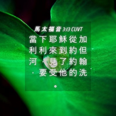 Picture 04 - 馬 太 福 音 3:13 CUVT - 當 下 耶 穌 從 加 利 利 來 到 約 但 - Bible Verse Picture