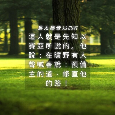 Picture 04 - 馬 太 福 音 3:3 CUVT - 這 人 就 是 先 知 以 賽 亞 所 說 的 - Bible Verse Picture