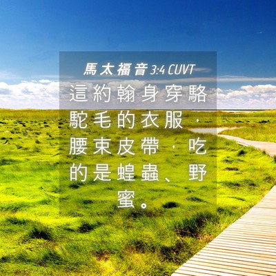 Picture 04 - 馬 太 福 音 3:4 CUVT - 這 約 翰 身 穿 駱 駝 毛 的 衣 服 ， - Bible Verse Picture
