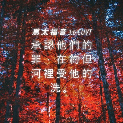 Picture 04 - 馬 太 福 音 3:6 CUVT - 承 認 他 們 的 罪 ， 在 約 但 河 裡 - Bible Verse Picture