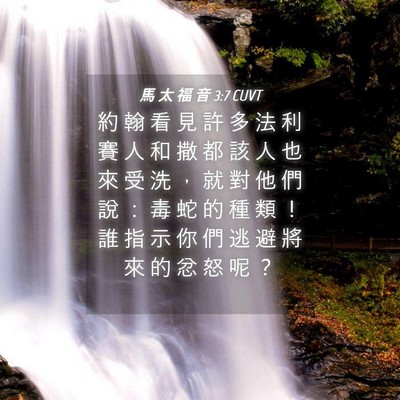 Picture 04 - 馬 太 福 音 3:7 CUVT - 約 翰 看 見 許 多 法 利 賽 人 和 撒 - Bible Verse Picture