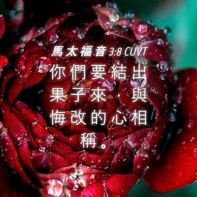 Picture 04 - 馬 太 福 音 3:8 CUVT - 你 們 要 結 出 果 子 來 ， 與 悔 改 - Bible Verse Picture
