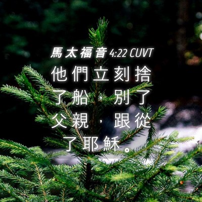 Picture 04 - 馬 太 福 音 4:22 CUVT - 他 們 立 刻 捨 了 船 ， 別 了 父 親 - Bible Verse Picture