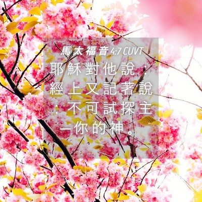 Picture 04 - 馬 太 福 音 4:7 CUVT - 耶 穌 對 他 說 ： 經 上 又 記 著 說 - Bible Verse Picture