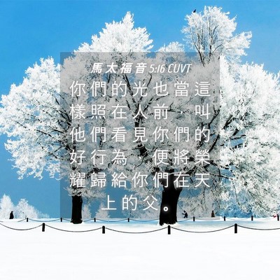 Picture 04 - 馬 太 福 音 5:16 CUVT - 你 們 的 光 也 當 這 樣 照 在 人 前 - Bible Verse Picture