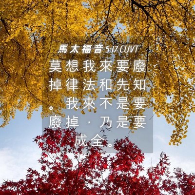 Picture 04 - 馬 太 福 音 5:17 CUVT - 莫 想 我 來 要 廢 掉 律 法 和 先 知 - Bible Verse Picture